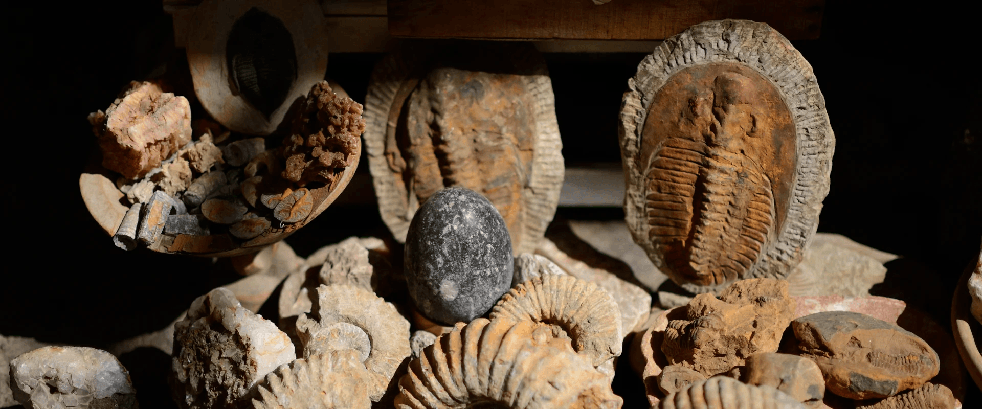 Real Moroccan fossils, ammonites, orthoceras, trilobites and quartz decor from Erfoud