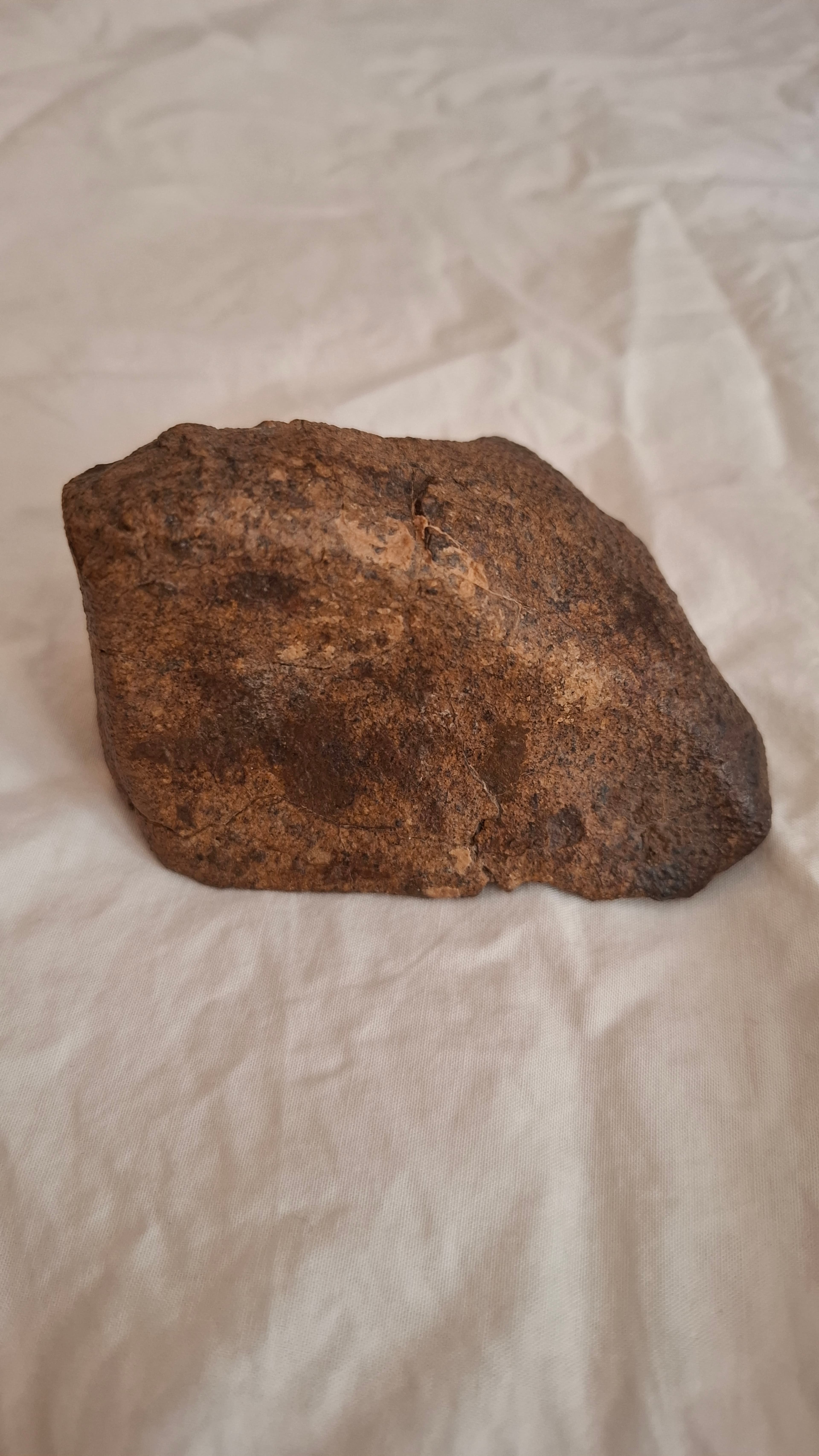 Chondrite 1 meteorite photo 20260529 124132.Jpg