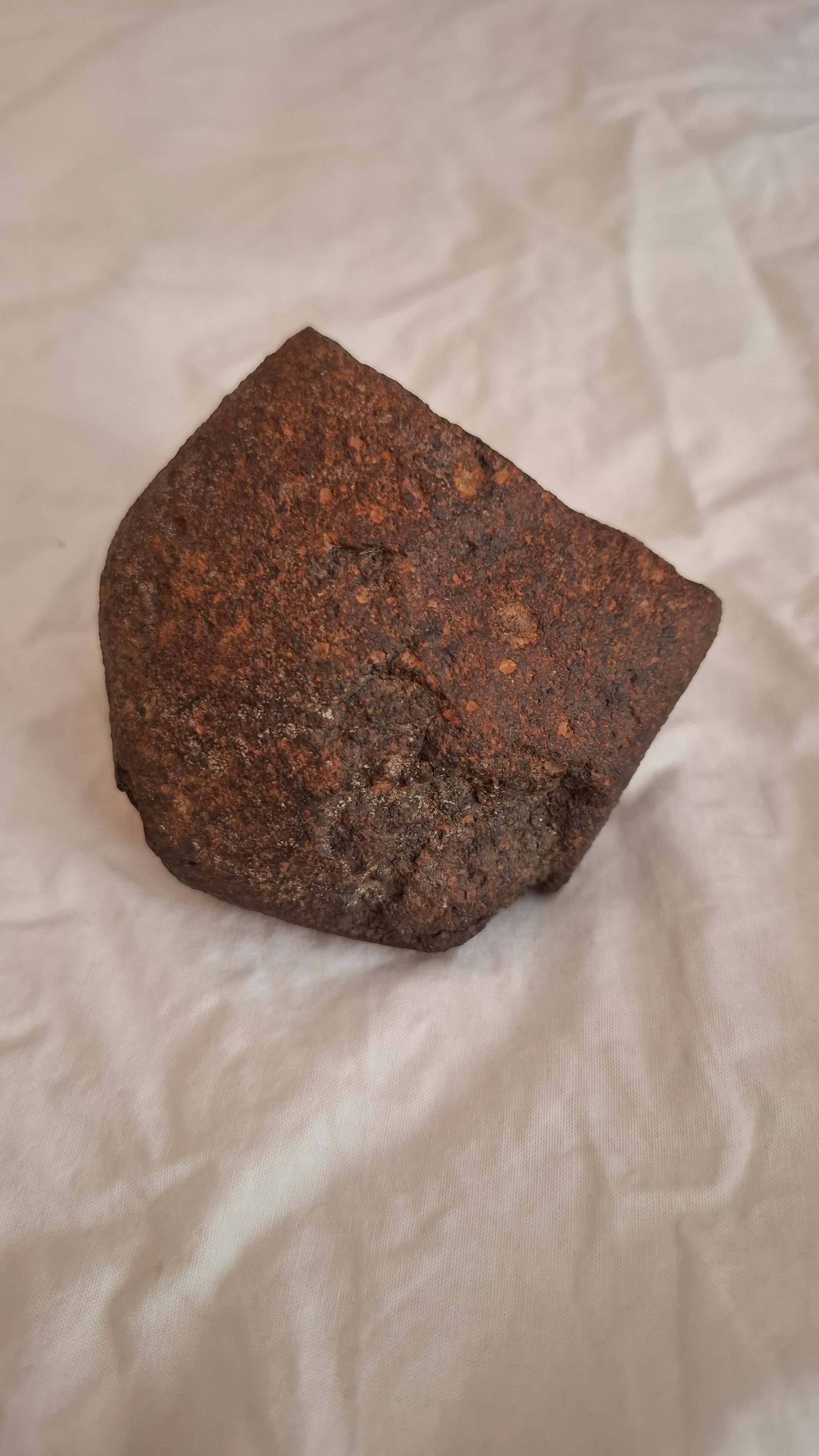 Chondrite 3 meteorite photo 20260529 124311.Jpg