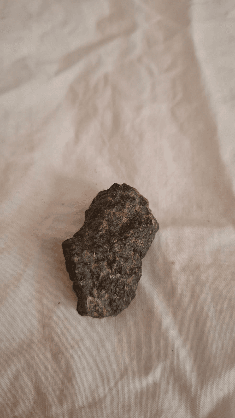 Lunar 1 meteorite photo Image