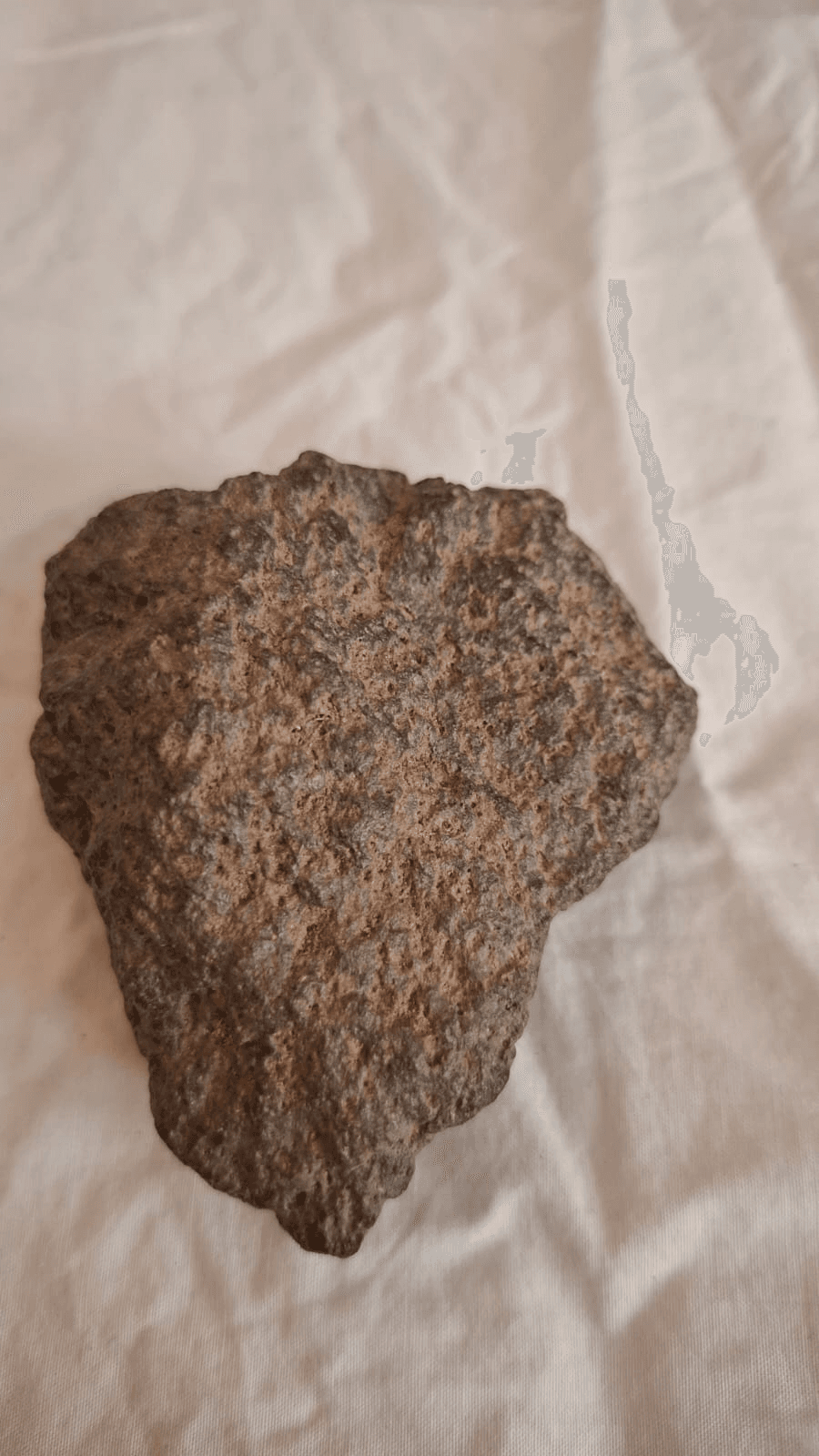 Martian 2 meteorite photo Image