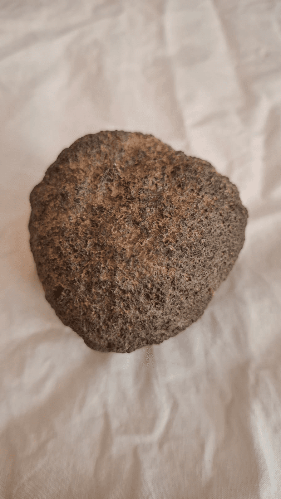 Martian 3 meteorite photo Image