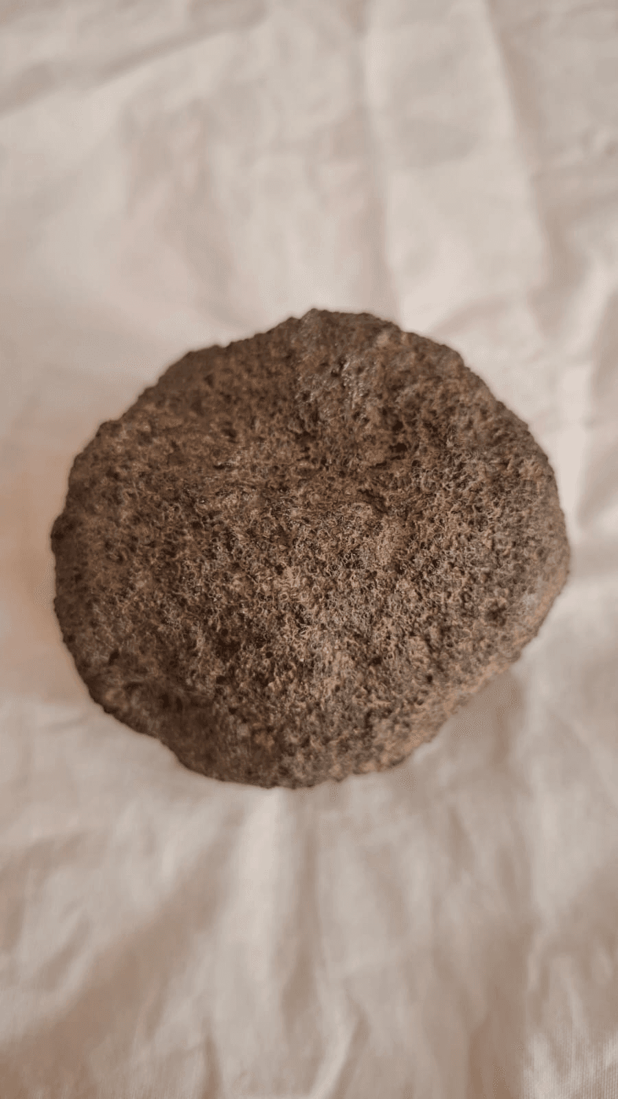 Martian 3 meteorite photo Image2026
