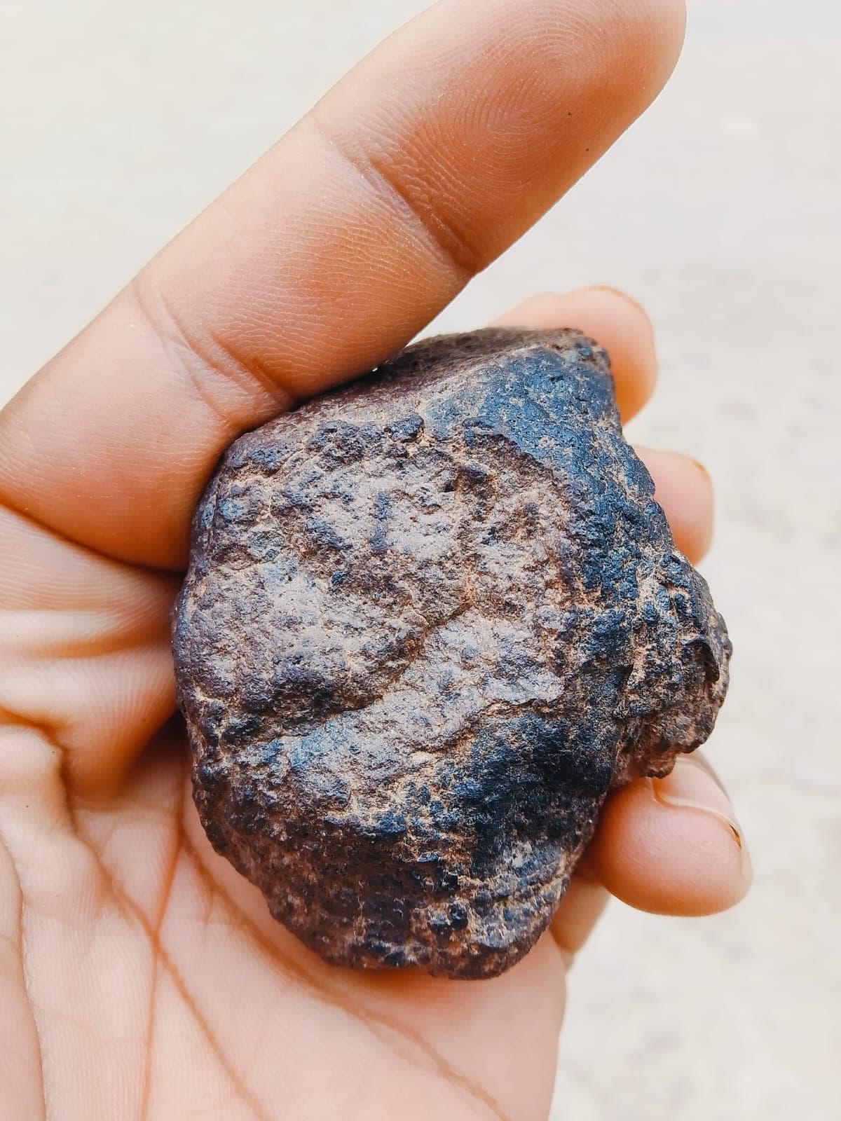 Martian Basalt Meteorite